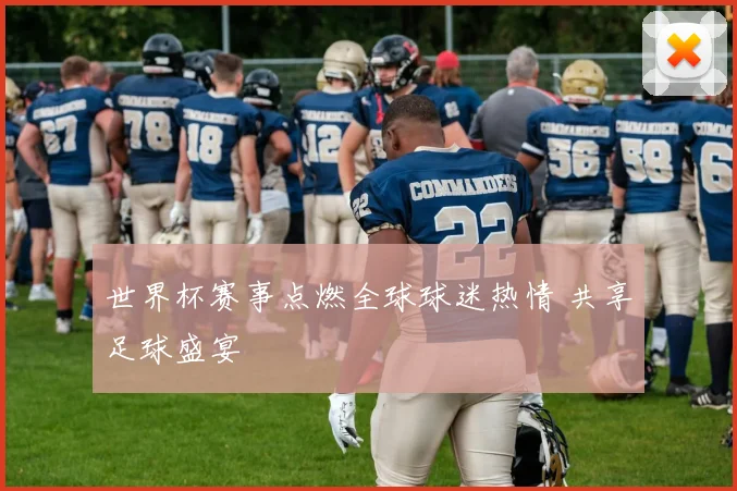 世界杯赛事点燃全球球迷热情 共享足球盛宴