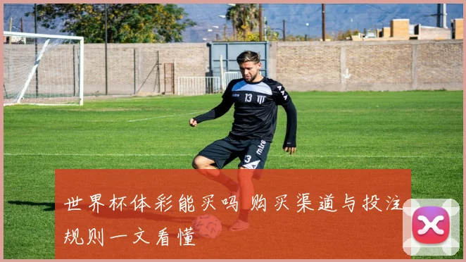 世界杯体彩能买吗 购买渠道与投注规则一文看懂
